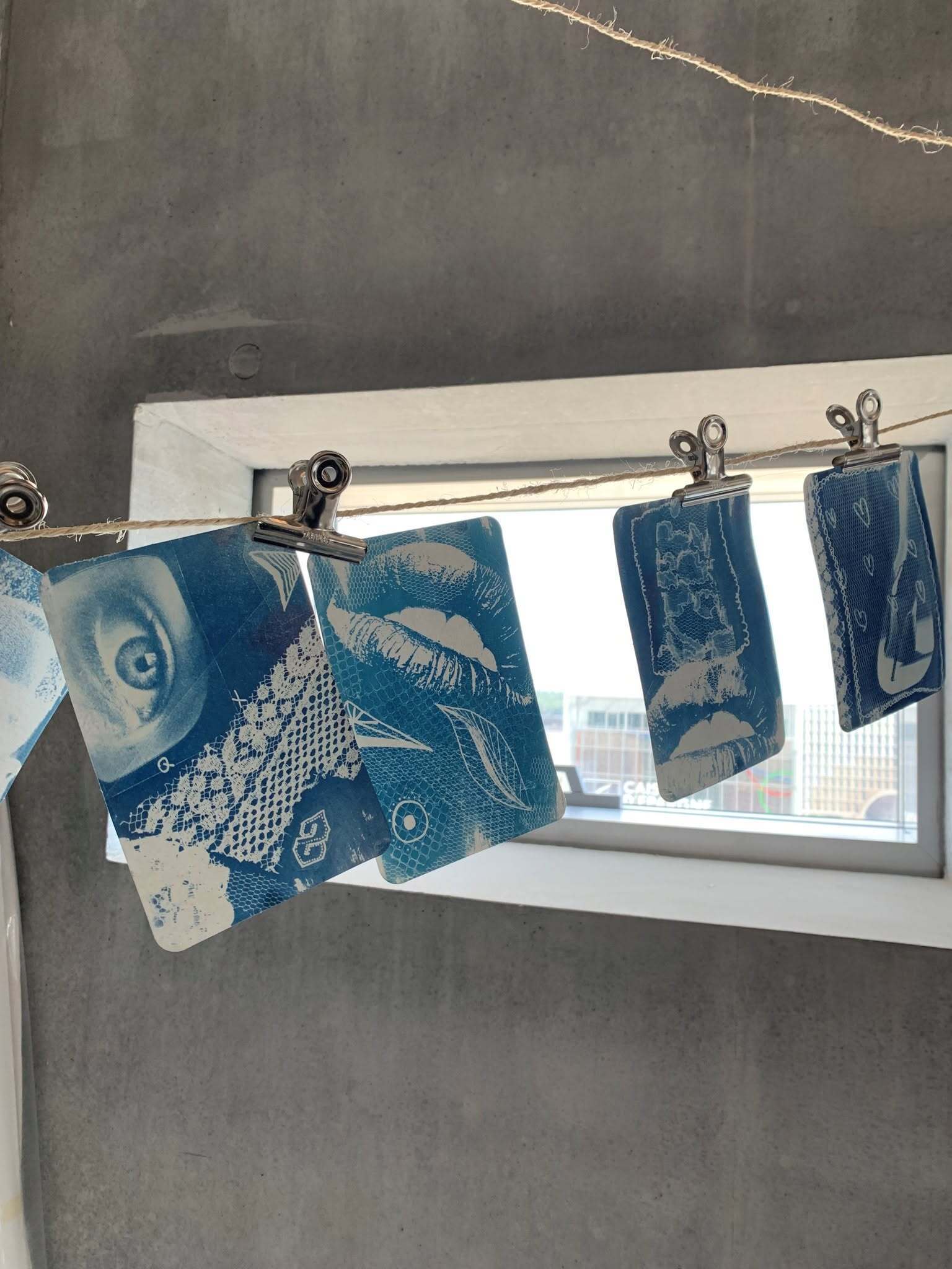 Atelier découverte d’une technique photographique : le cyanotype