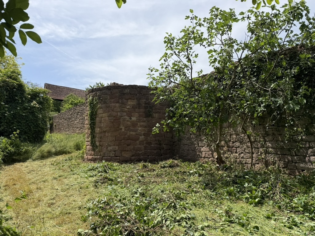 Journées du patrimoine 2026 à Wangen
" Patrimoine en péril : raviver, résister, réinventer "