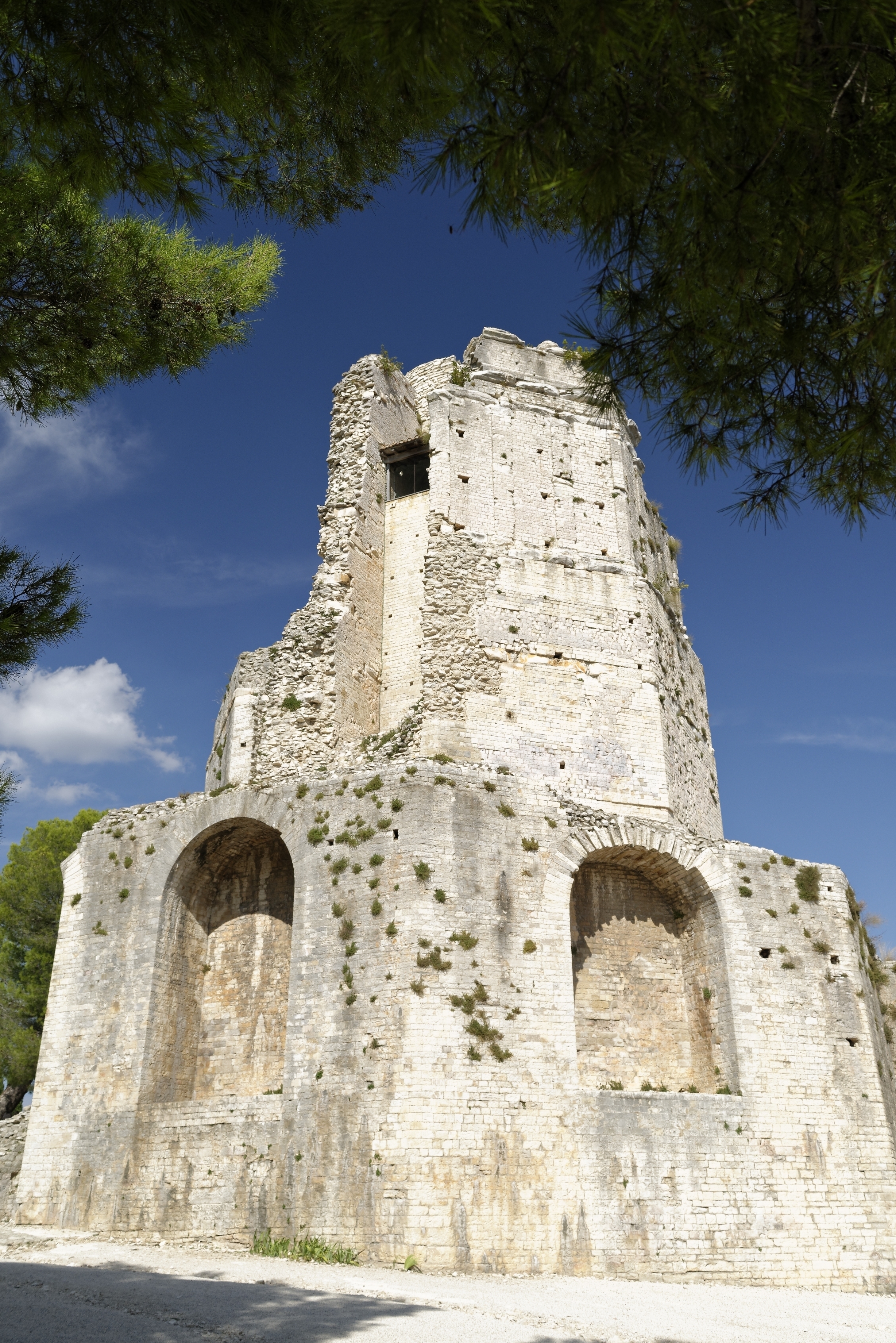 Visite libre de la Tour Magne