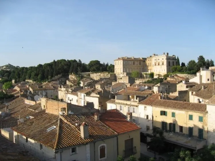 Visite guidée du centre médiéval, de l'église et du château