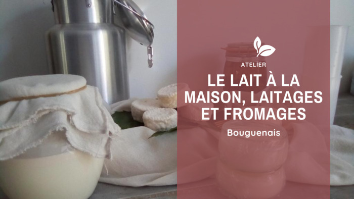 Le lait, les laitages, fromages