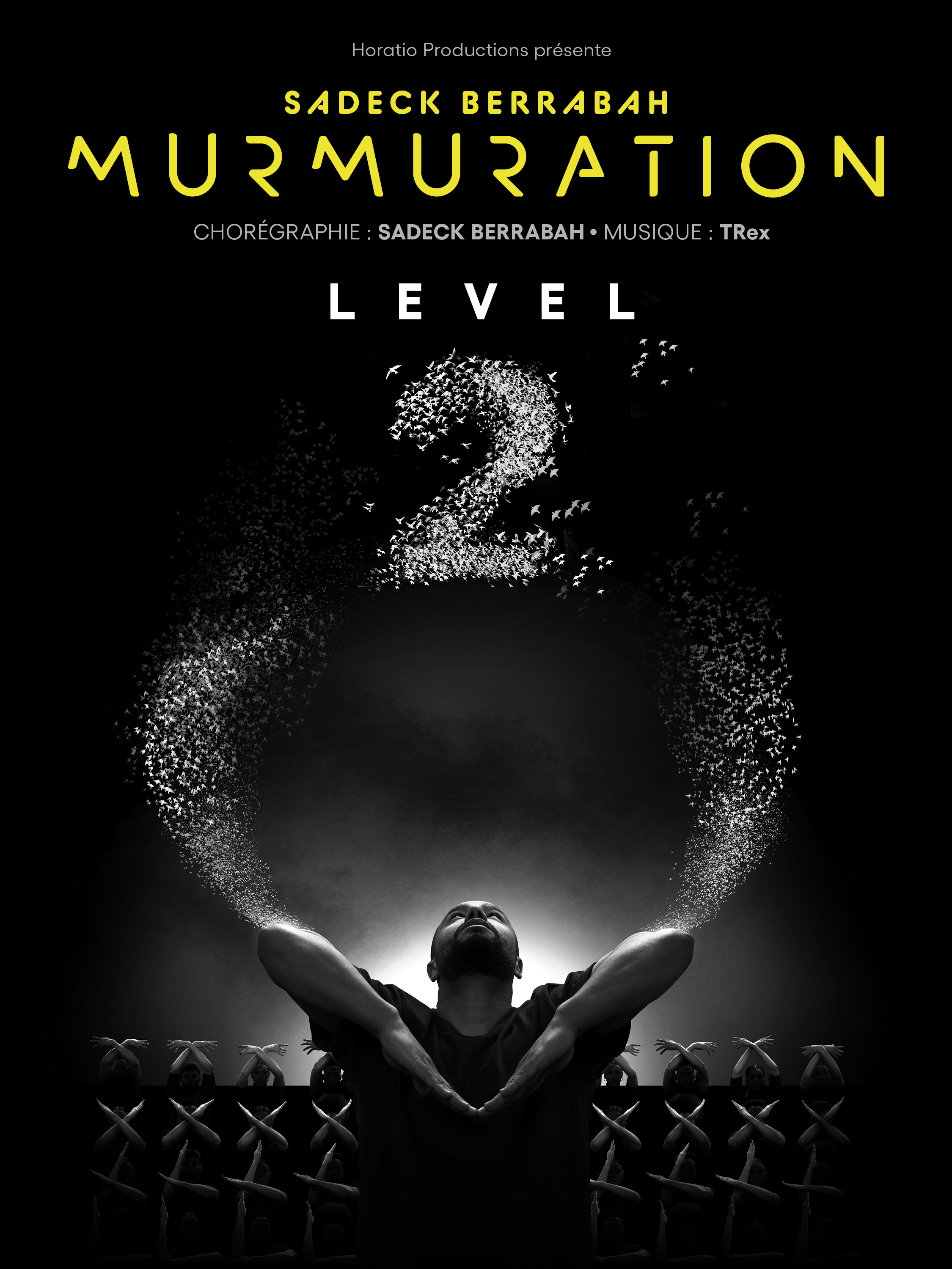 Murmuration Level 2