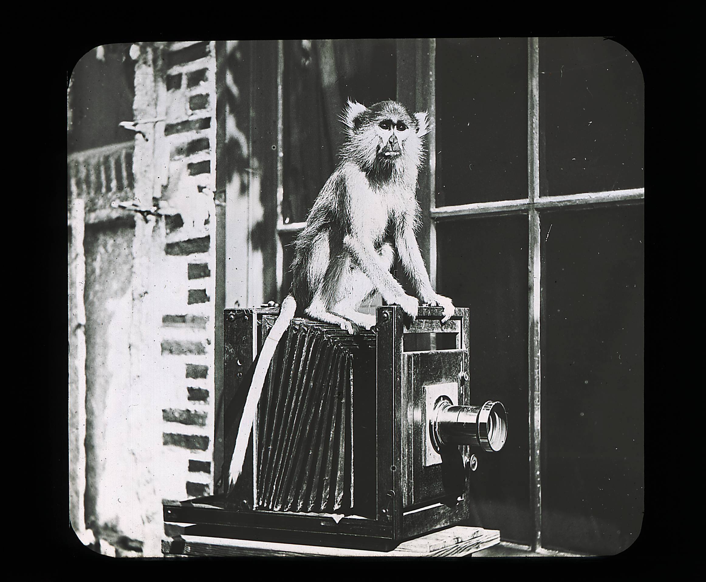 La Co-élaboration artistique des Archives : une œuvre photographique collective, participative et citoyenne.
