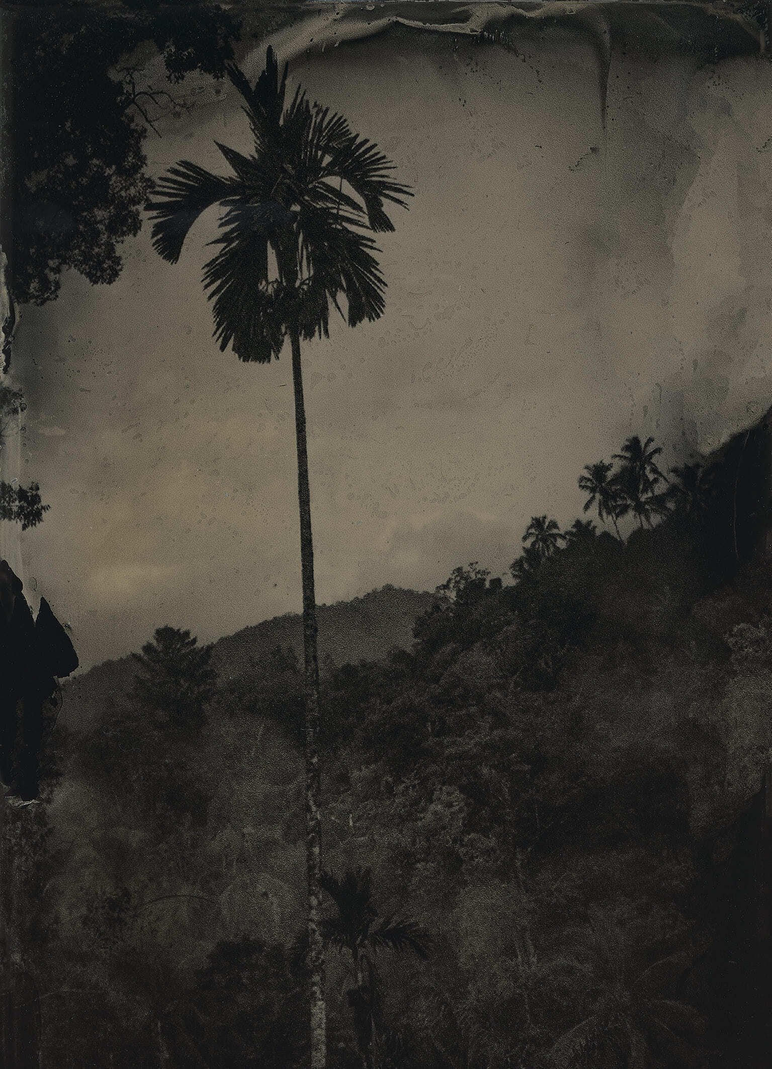 Atelier de photographie ancienne – Le collodion humide