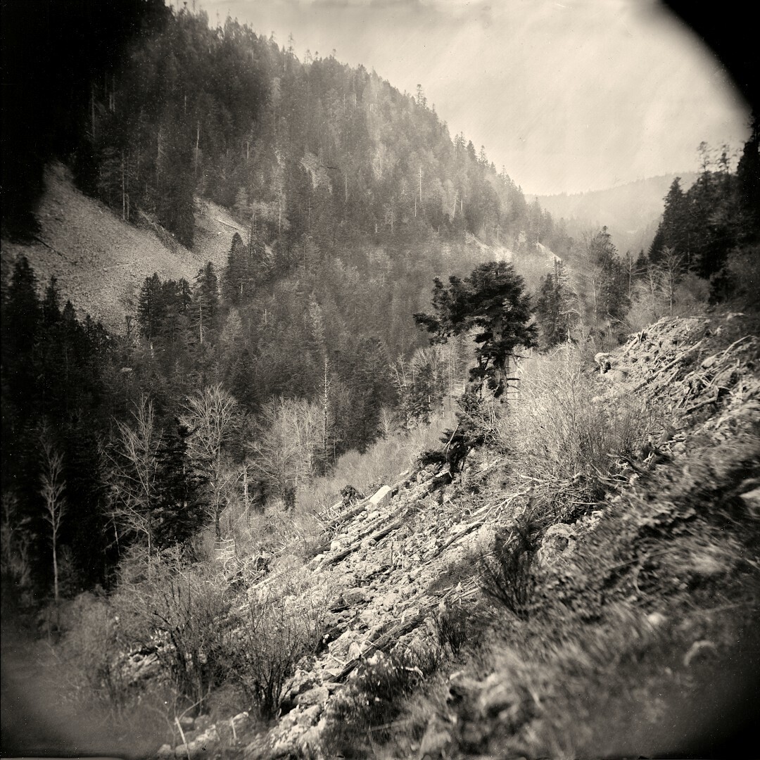 Démonstration : plongez au cœur des origines de la photographie !