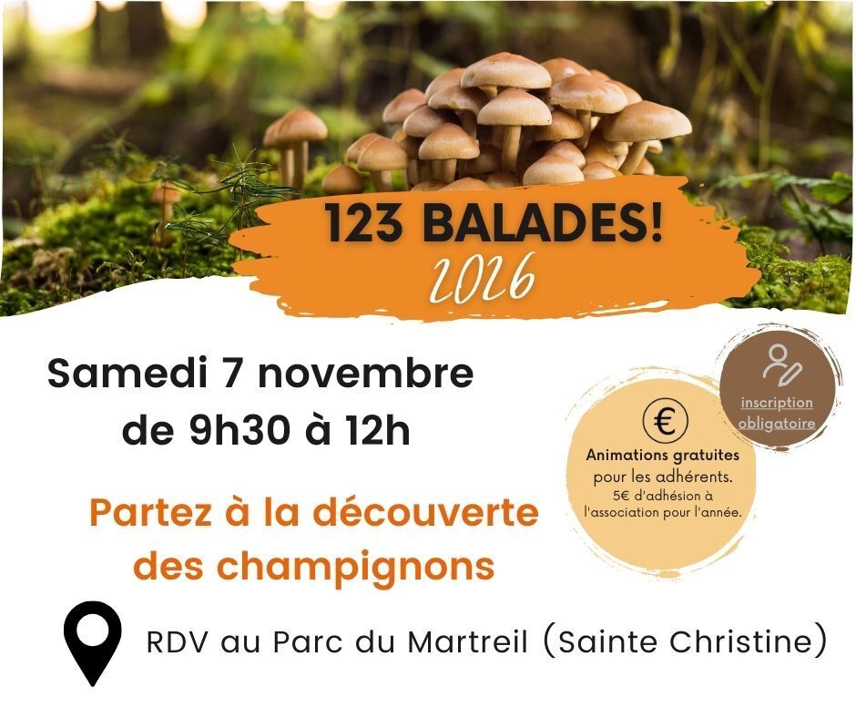 Partez à la découverte des champignons