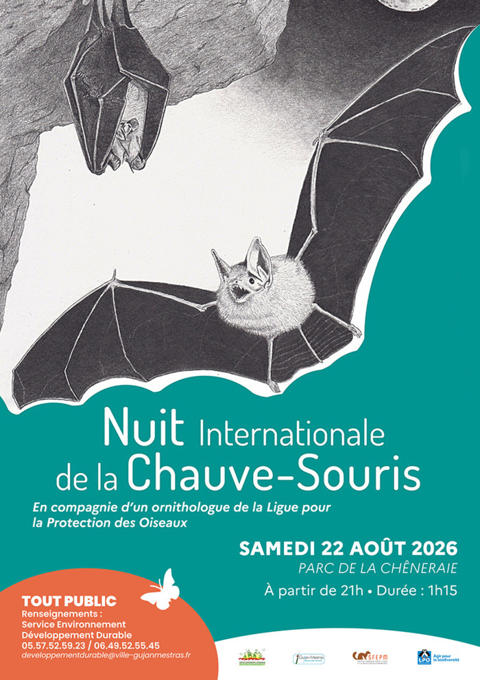 La nuit de la chauve-souris