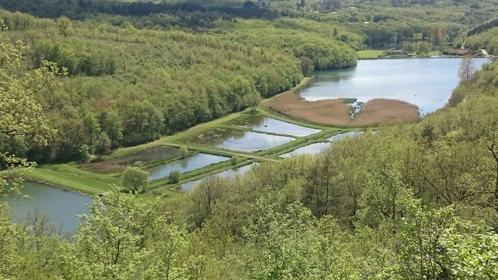 À la découverte de la biodiversité des étangs de Valojoulx