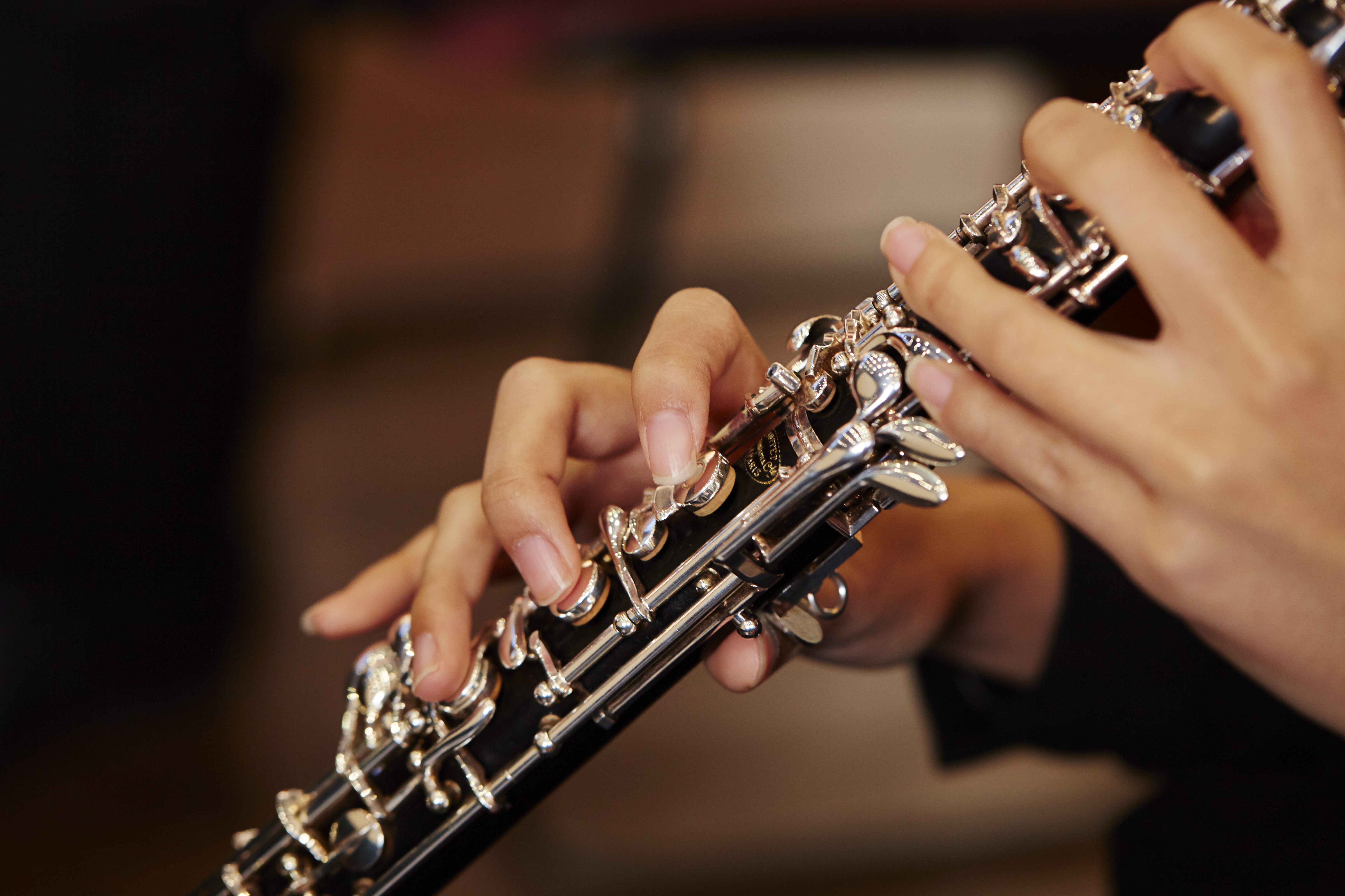 Visite en musique de l'exposition "Persistances"