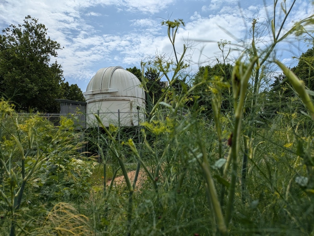 JARDIN VIVANT – BIODIVERSITÉ