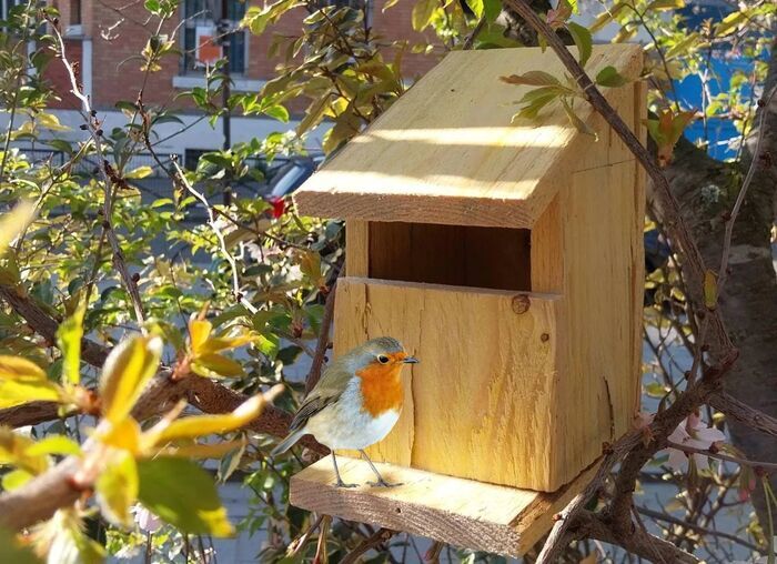 Fabriquez votre nichoir à oiseaux en duo Parent-enfant