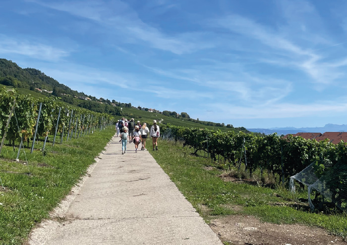 Balade gourmande - Mont-sur-Rolle
