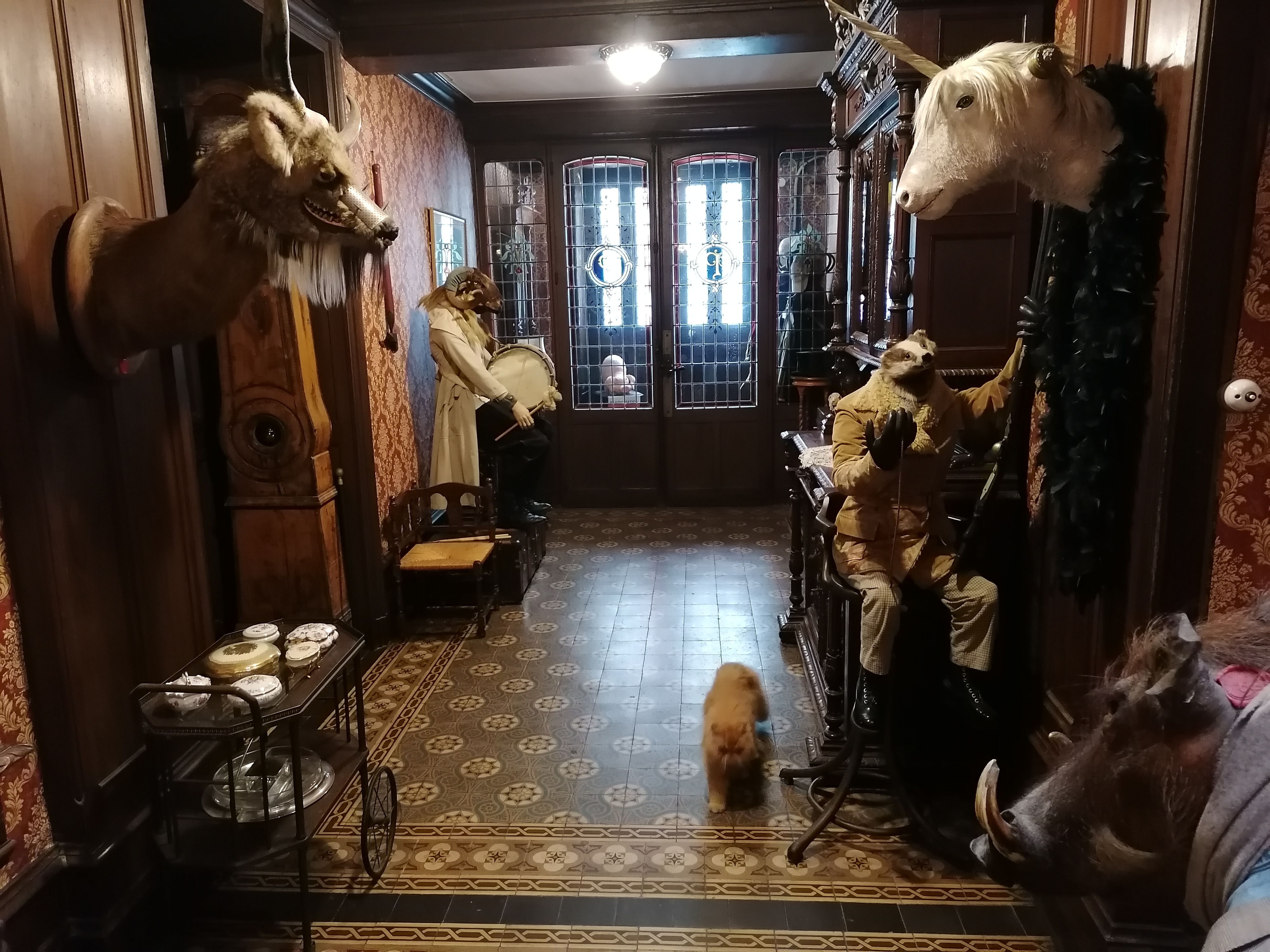 Visite de la Licorne et de son cabinet de curiosité
