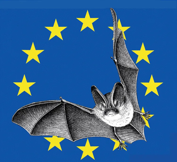 Balade crépusculaire à la découverte des chauves-souris