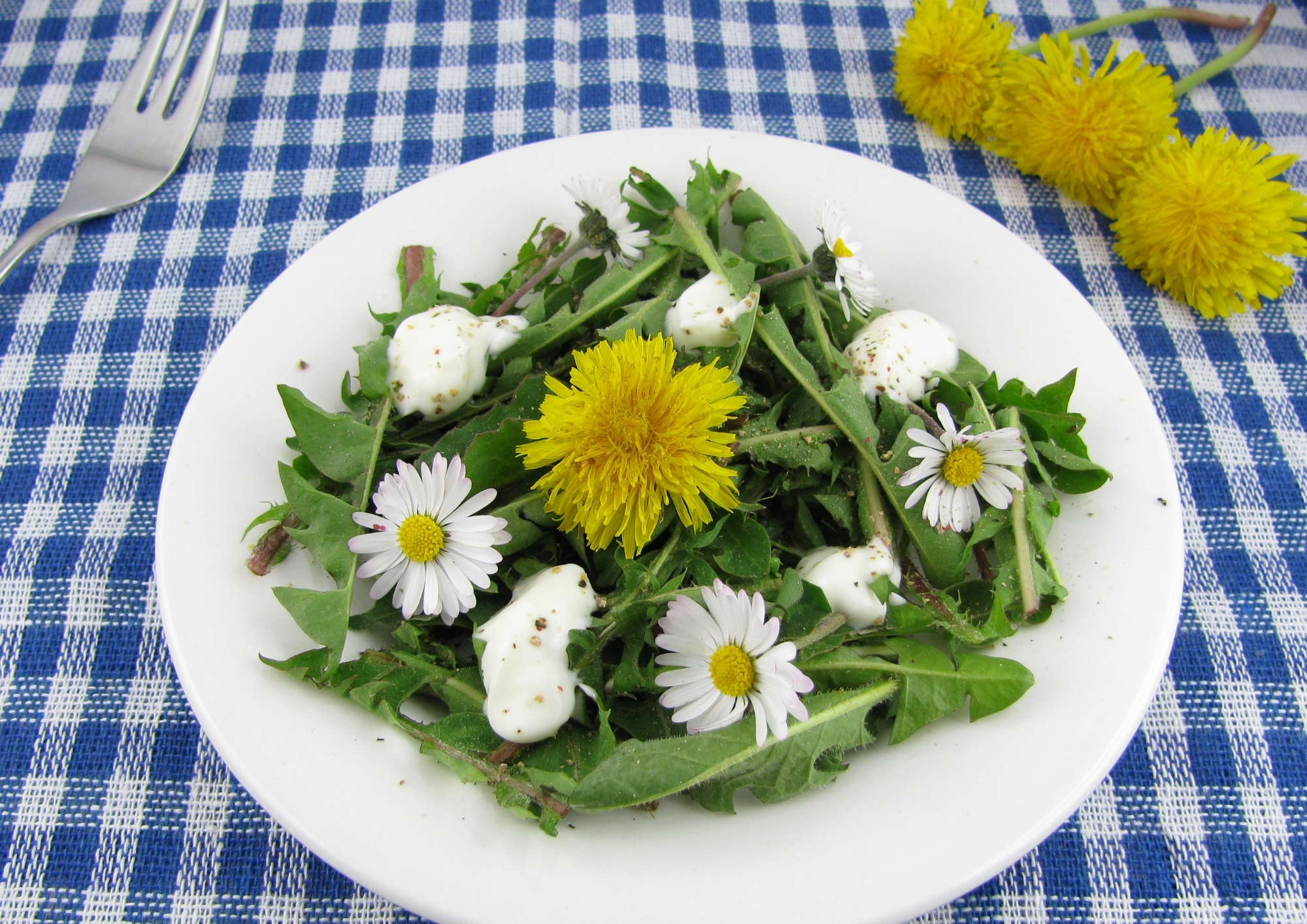 Salades sauvages et délicates