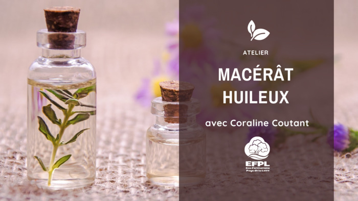 Macérât huileux