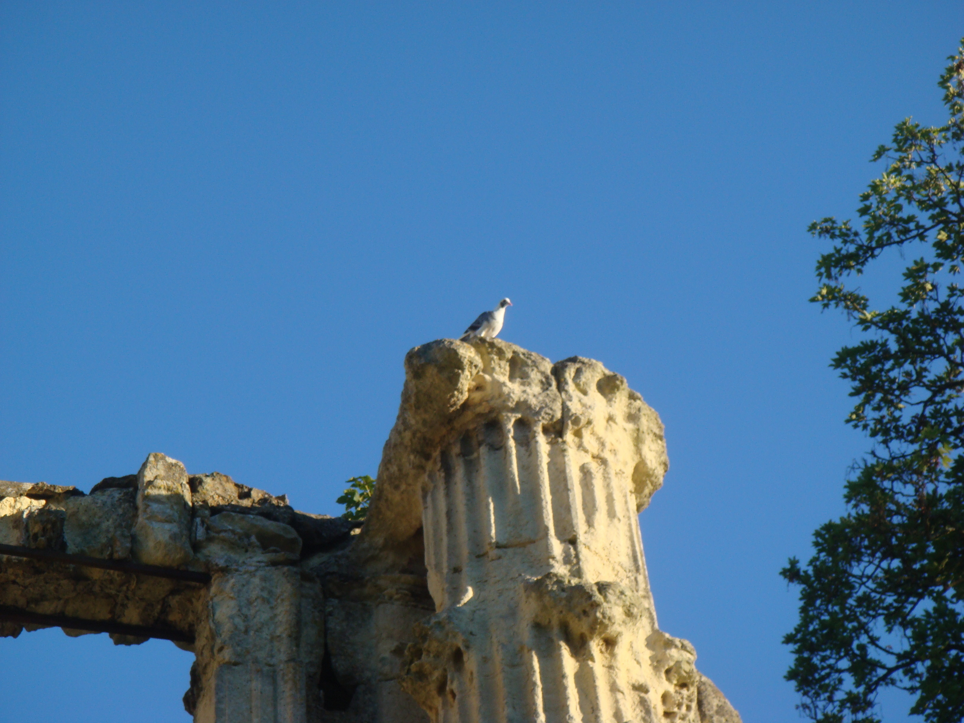 Exposition patrimoine et nature