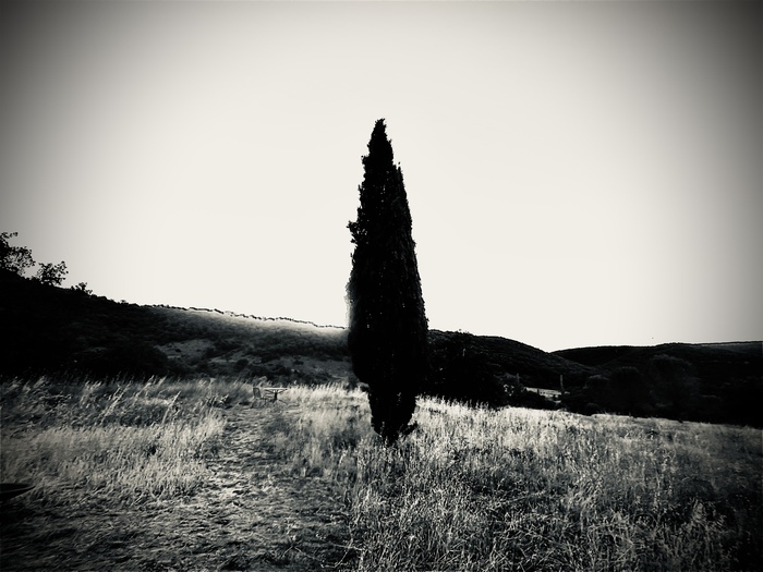 Atelier photographique, la découverte du sténopé, l'origine de la photo