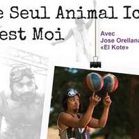 Cirque d'impro: Le seul animal ici, c'est moi