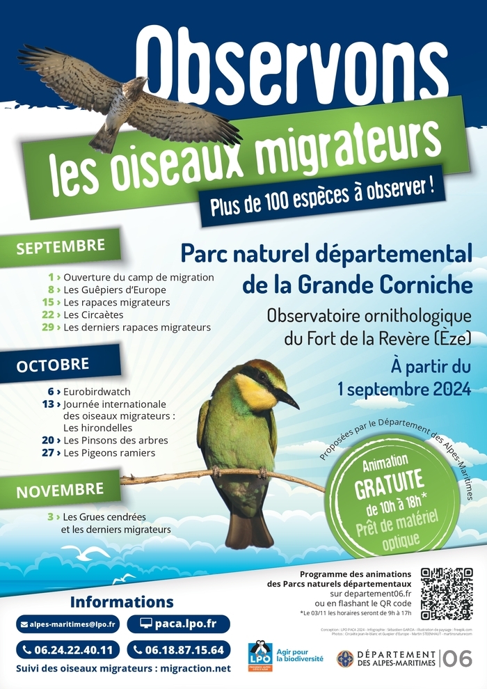 Chaque année la LPO PACA suit la migration des oiseaux au fort de la Revère durant les mois de septembre et octobre. Nous vous invitons à découvrir les oiseaux qui traversent nos montagnes !