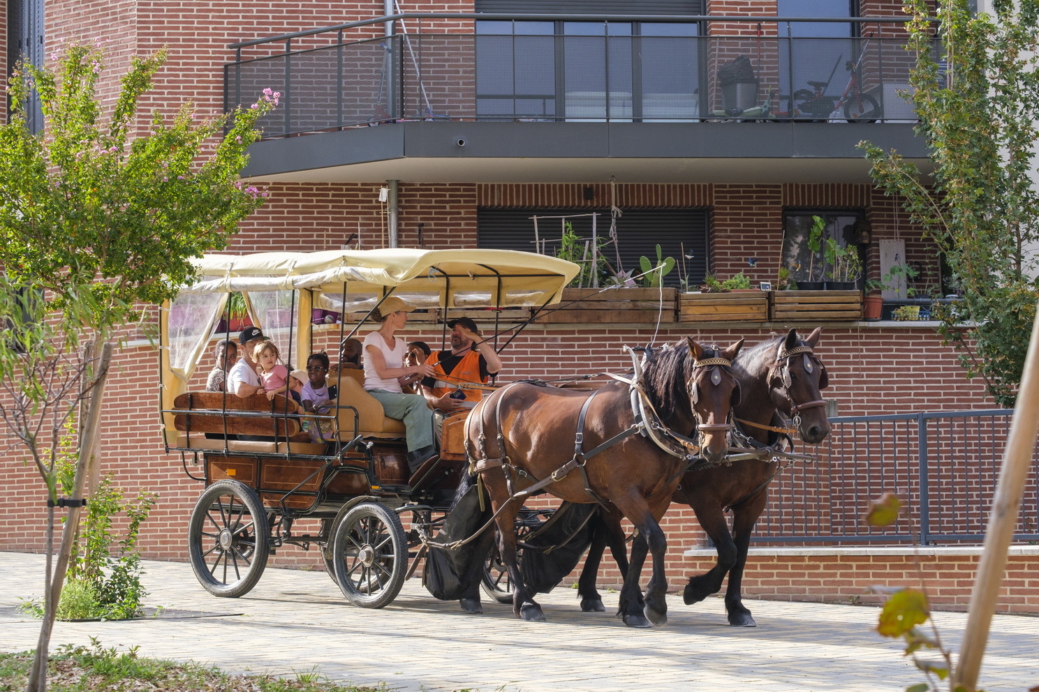 Balade en calèche dans le centre ancien