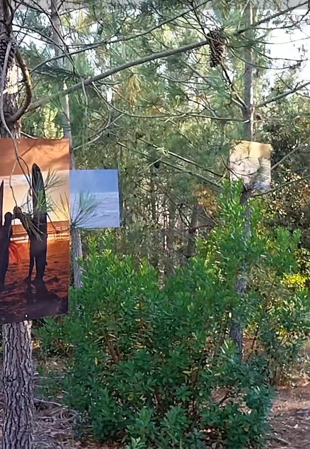 Dévernissage de l'exposition "Instants du Littoral"