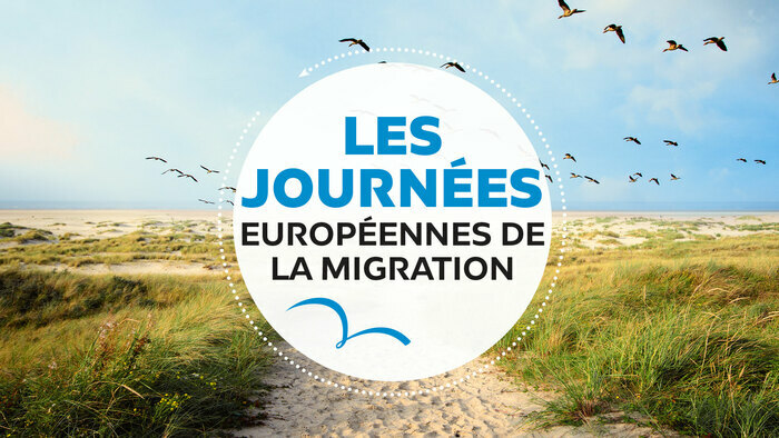 Dans le cadre des journées européennes de la migration des bénévoles de la LPO AuRA vous invitent à participer à l’observation et au comptage des oiseaux migrateurs sur le col de Prat de Bouc (Cantal)