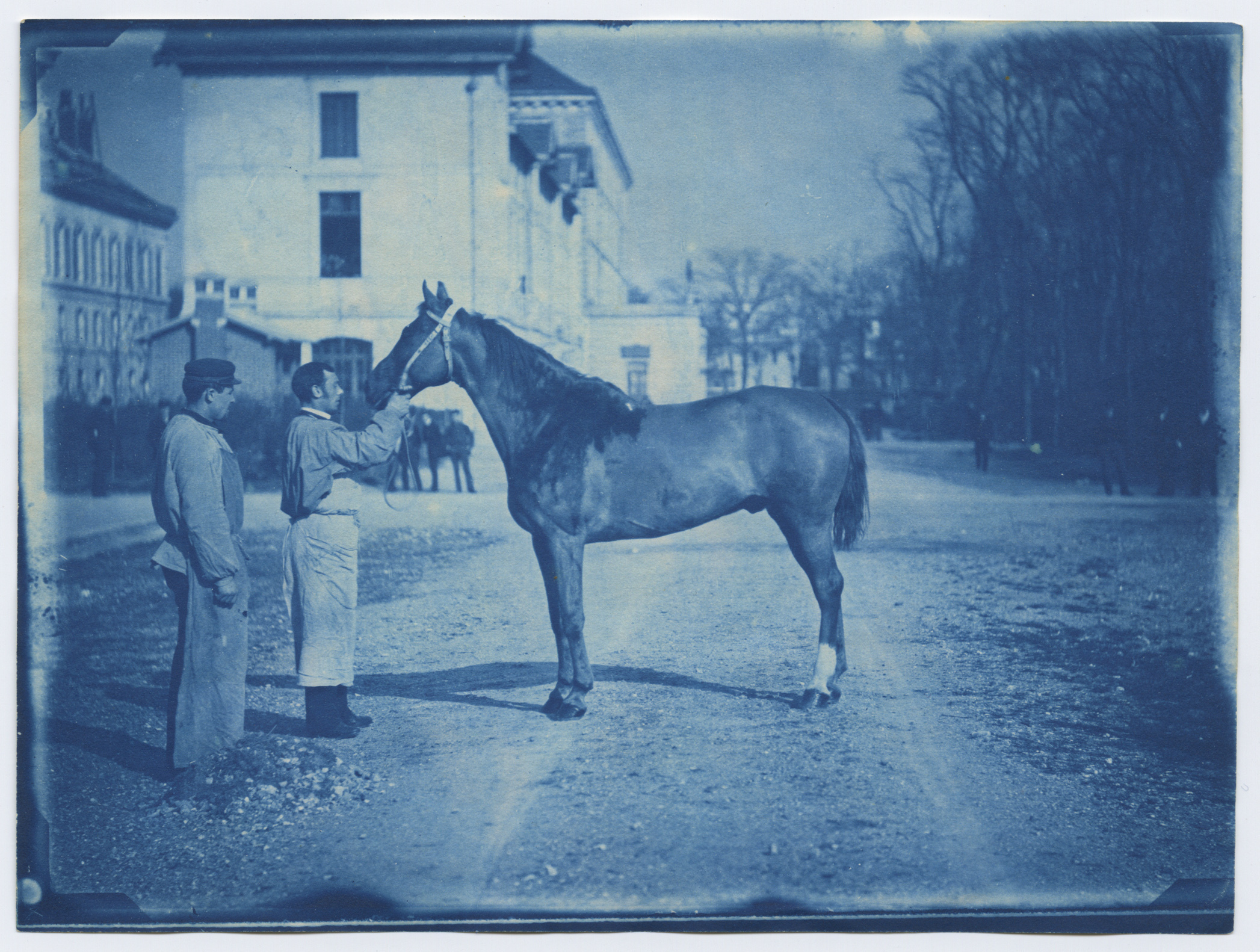 Atelier cyanotype "De l'archive à l'artiste: la photographie"