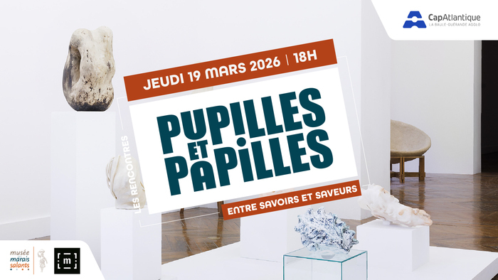 Rencontre gratuite - "Quand le sel s’invite dans l’art contemporain"