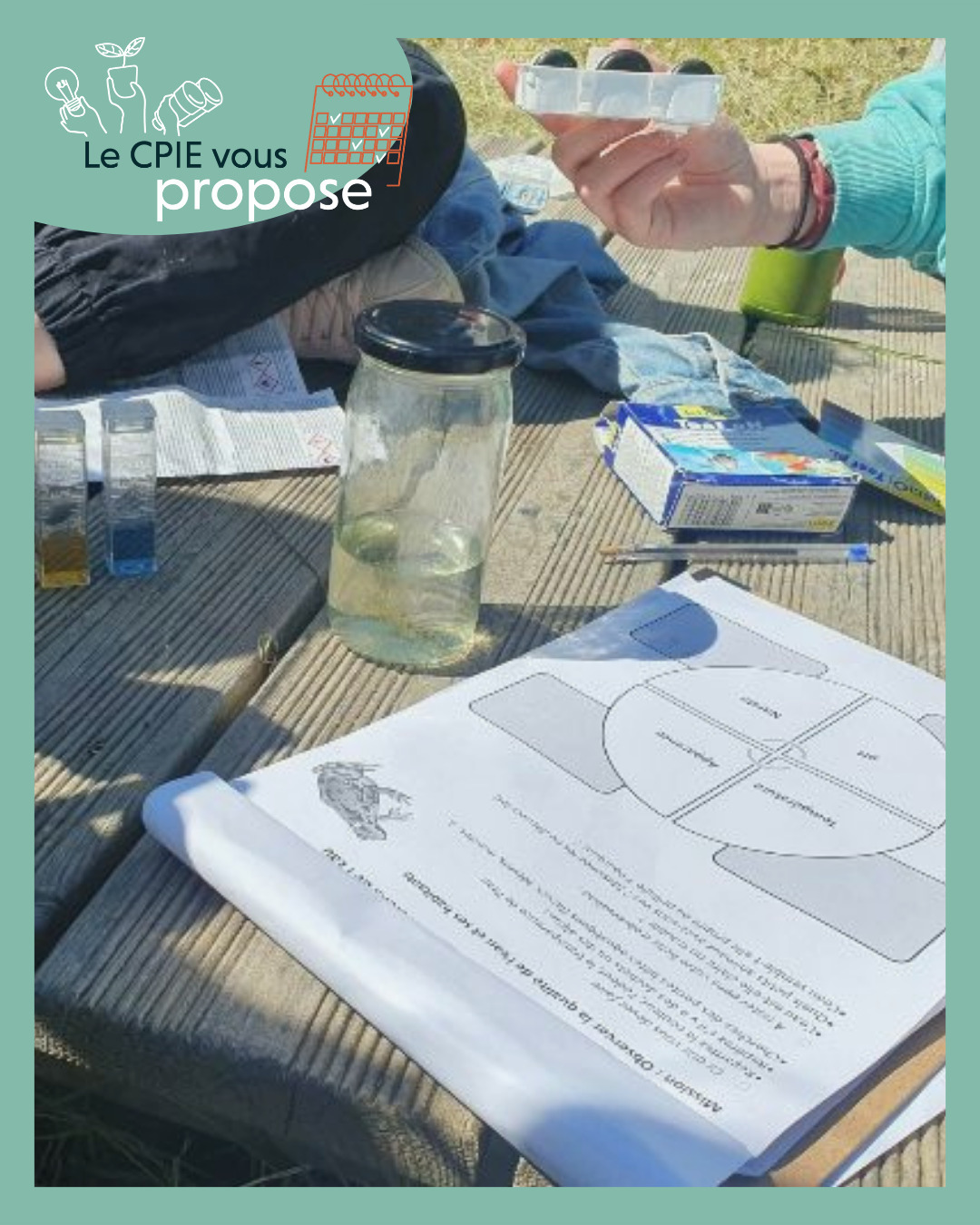 Appel à candidature : commencez avec nous une Aire Terrestre Educative ! 🦔
