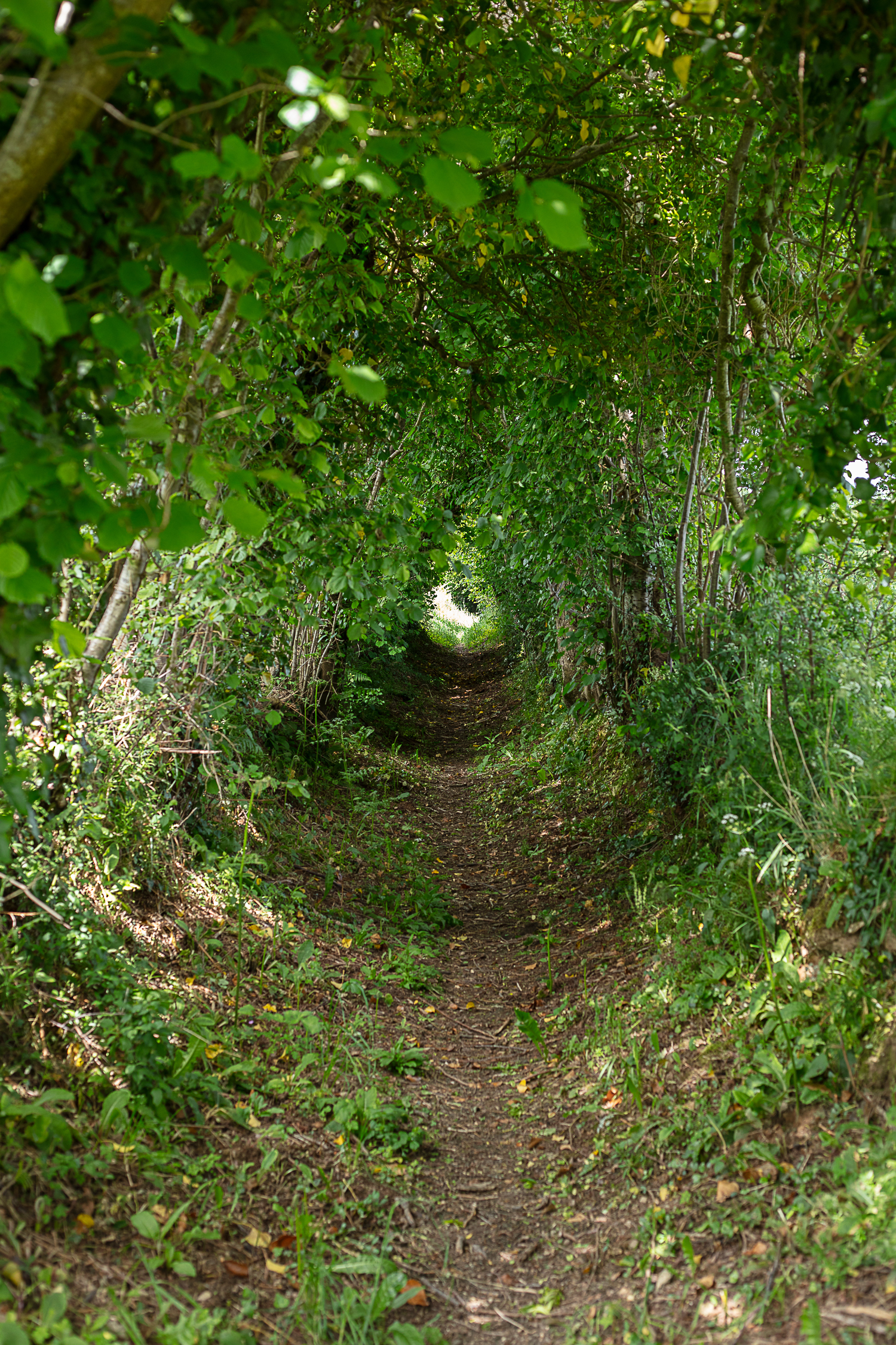 Circuit : à la croisée des chemins, quand les vivants se racontent