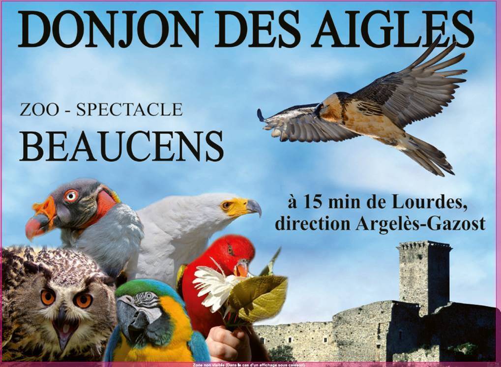Découvrez le Donjon des Aigles