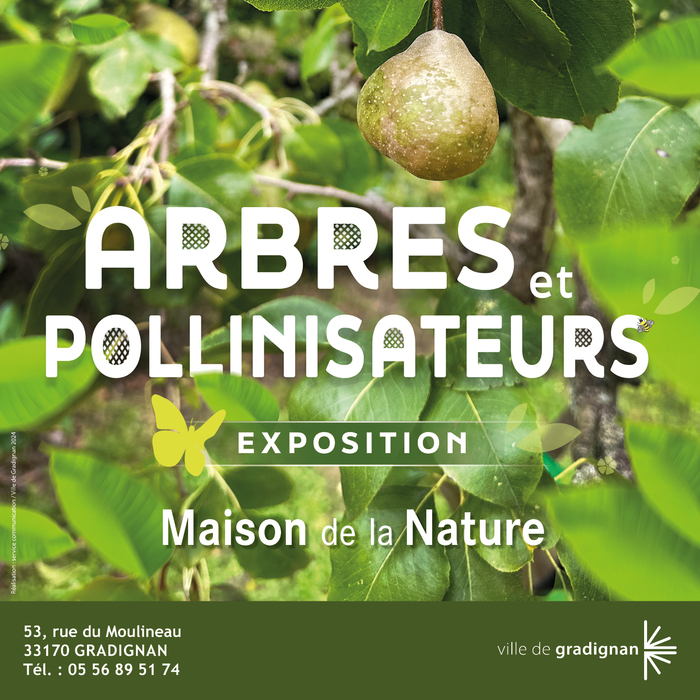 Exposition "Arbres et pollinisateurs"