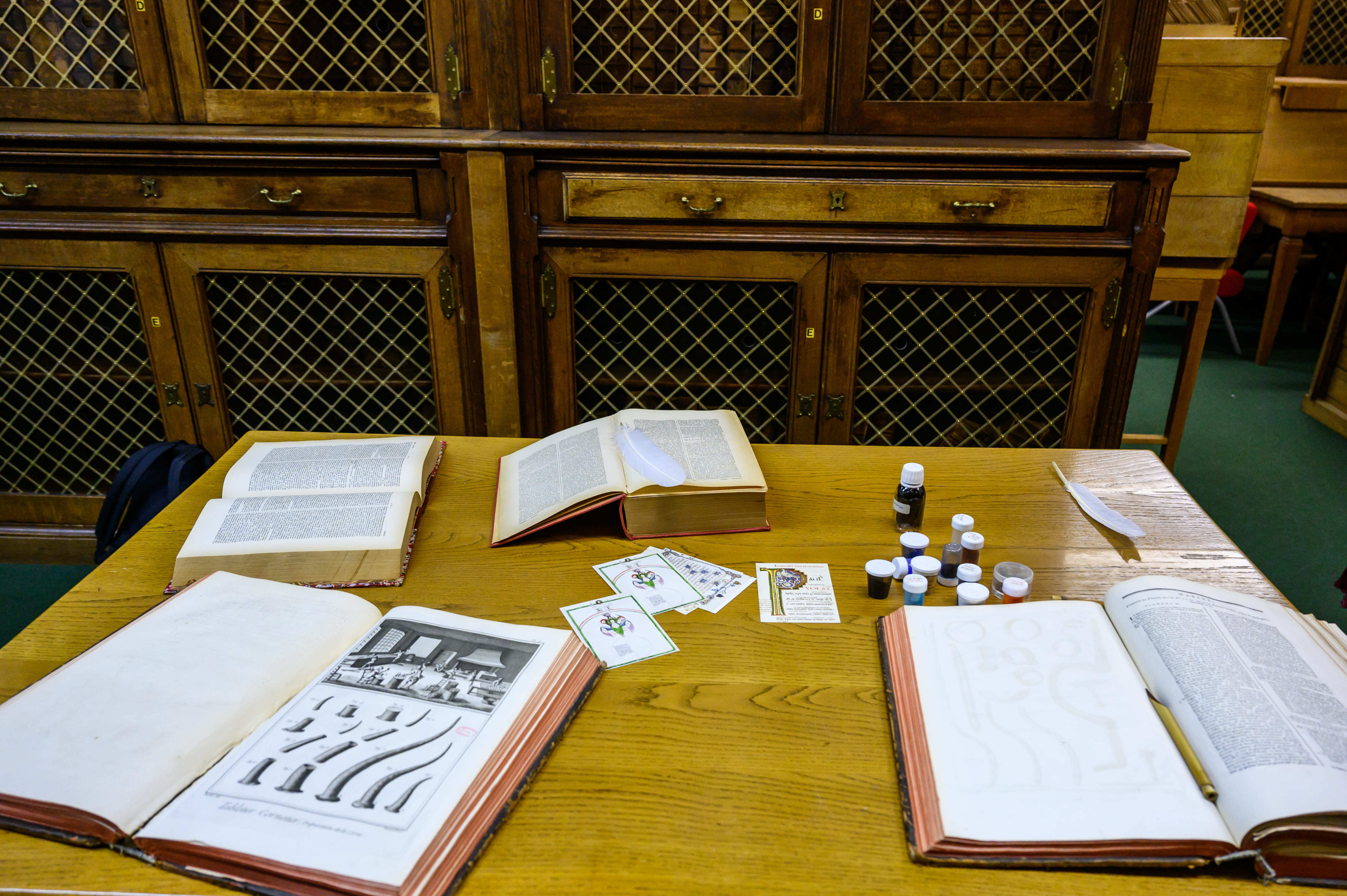 À la découverte des collections patrimoniales et archéologiques