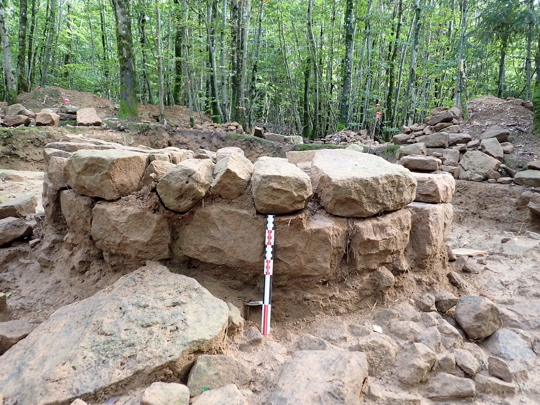 Visite guidée de la nécropole du Sauvageon