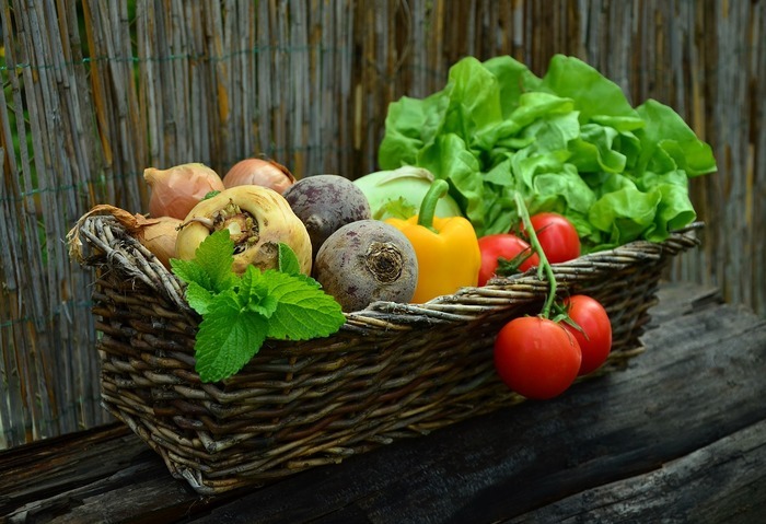 Marché de Chécy - Samedi