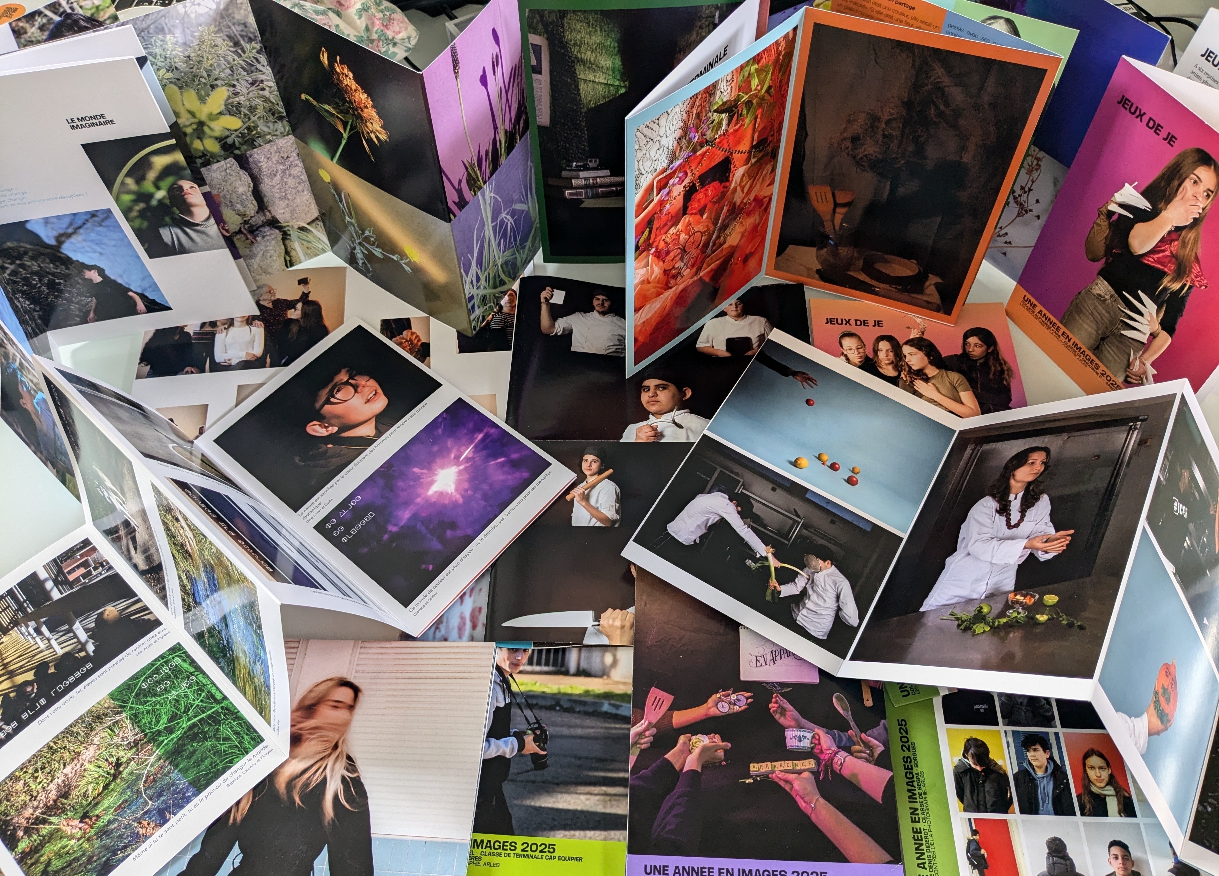 Une Année en Images : Transmettre et expérimenter