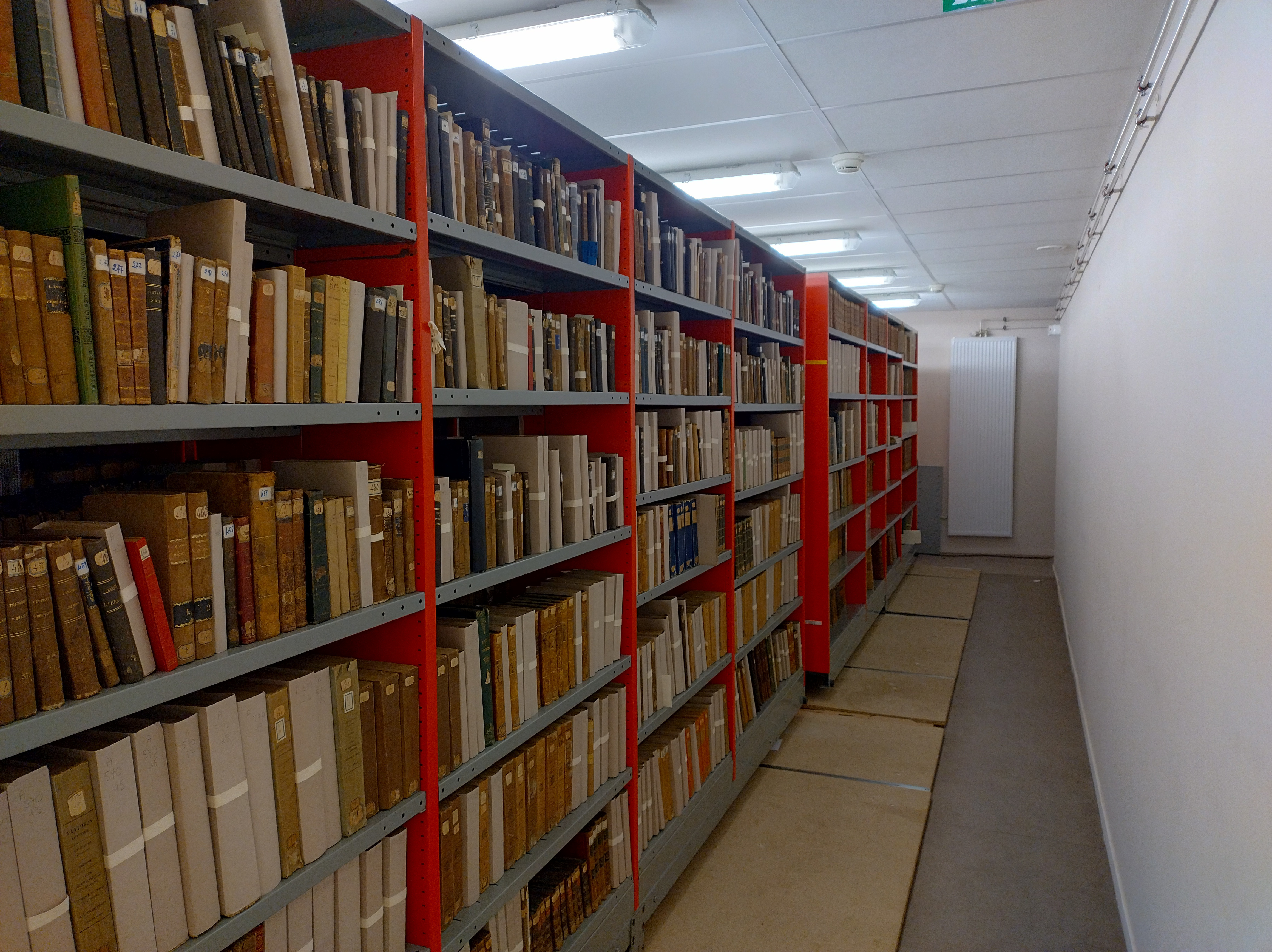 Visite des fonds patrimoniaux