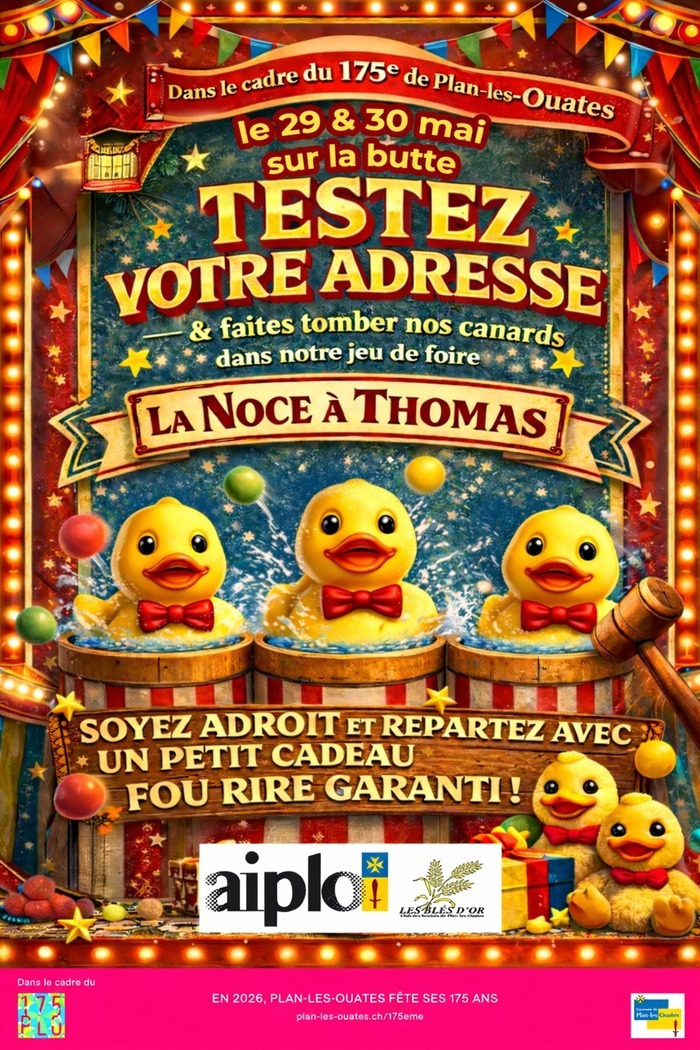 Jeu de foire qui consiste à faire tomber des canards sous forme de boîtes de conserve