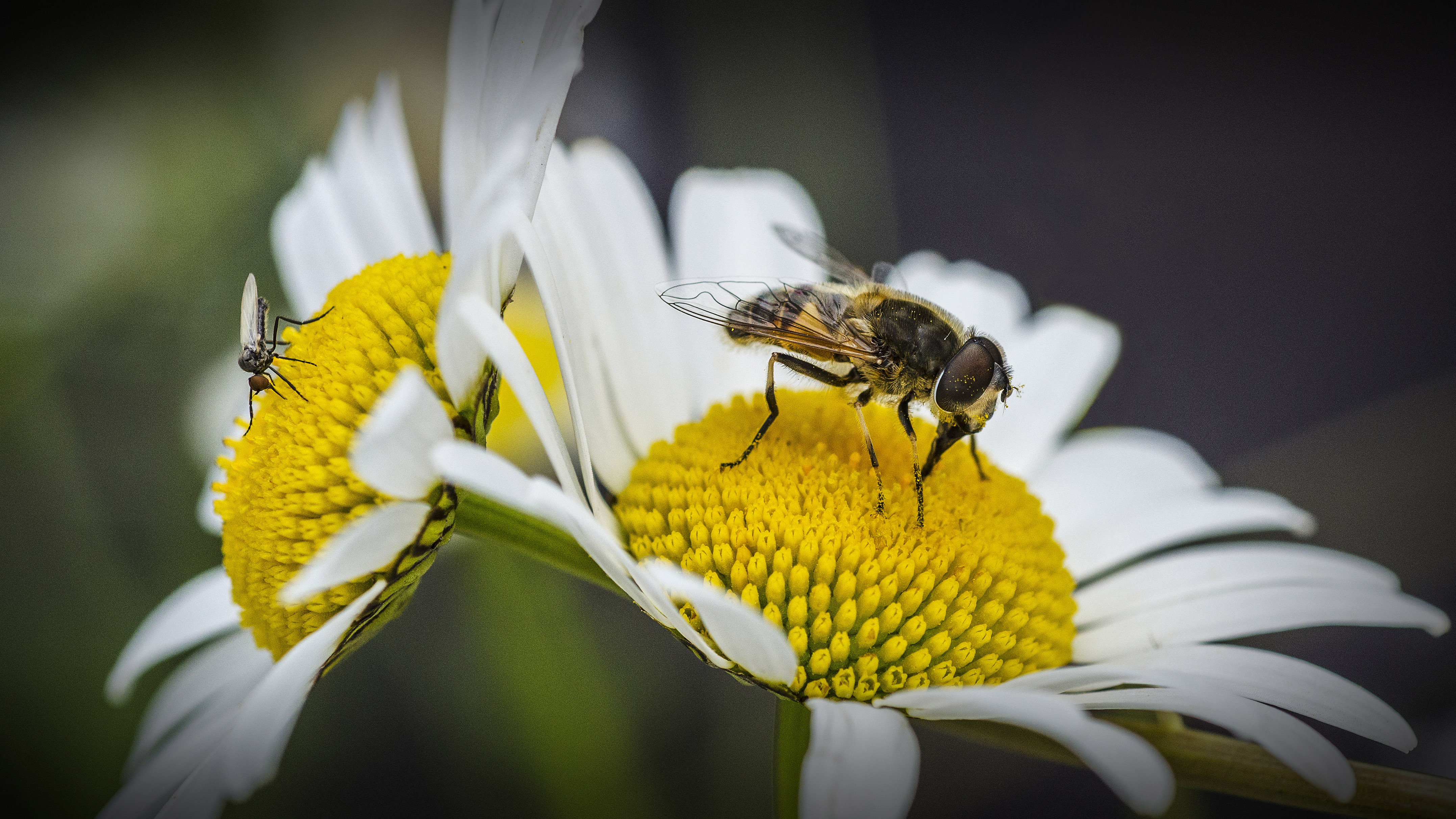 Jardiner au naturel à FLOIRAC