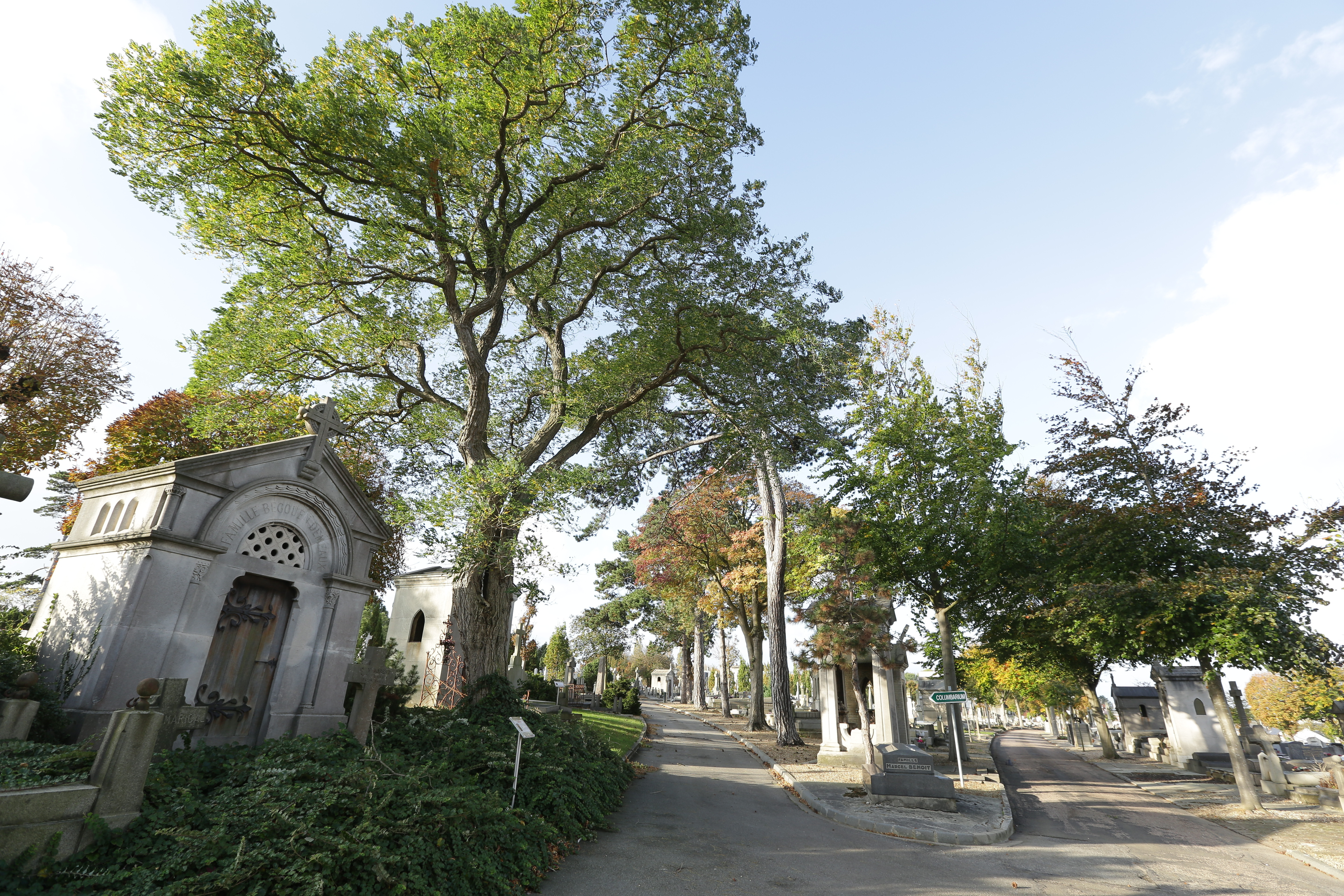 Visite guidée du cimetière