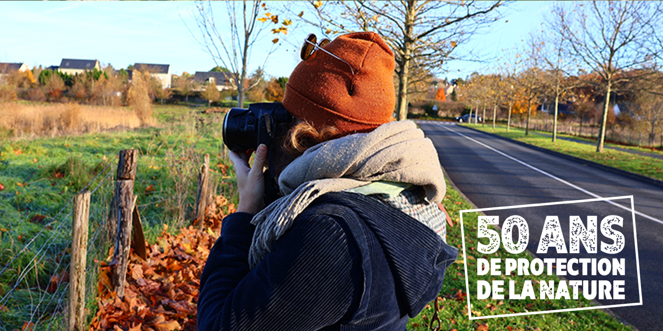 Initiation à la photographie animalière