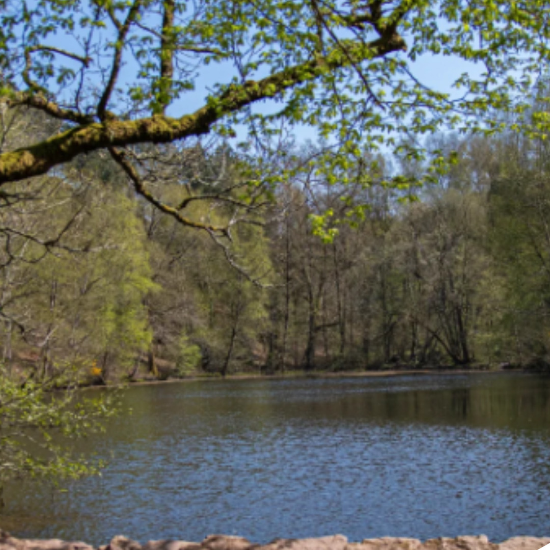 Sortie Brocéliande