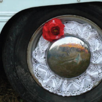 Tchicha où la vie rêvée d'un manouche