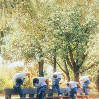 Danse & Toile
