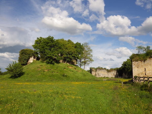Visite accompagnée du château fort de Bommiers
