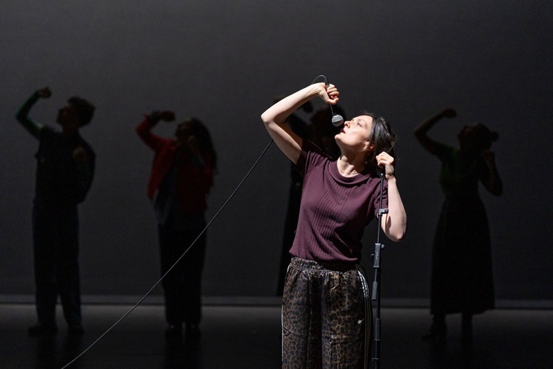 Saison LU – Théâtre – Fanny de Chaillé