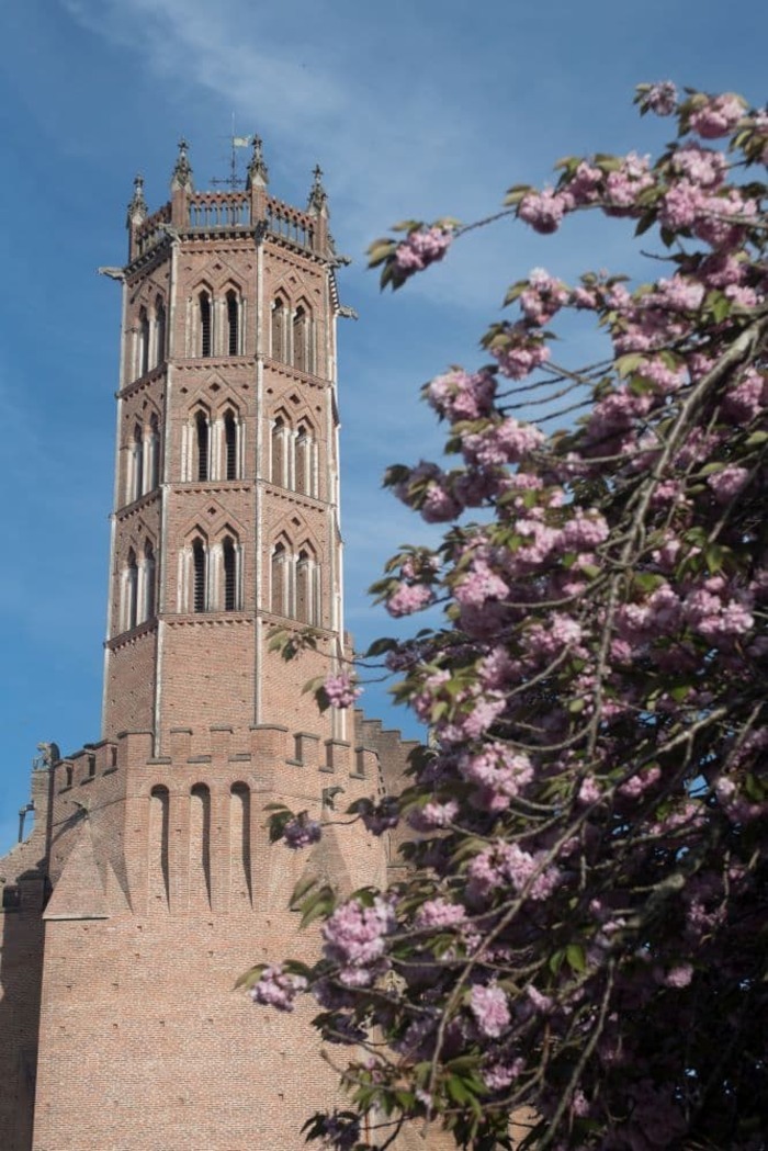 Visite libre de la cathédrale de Pamiers
