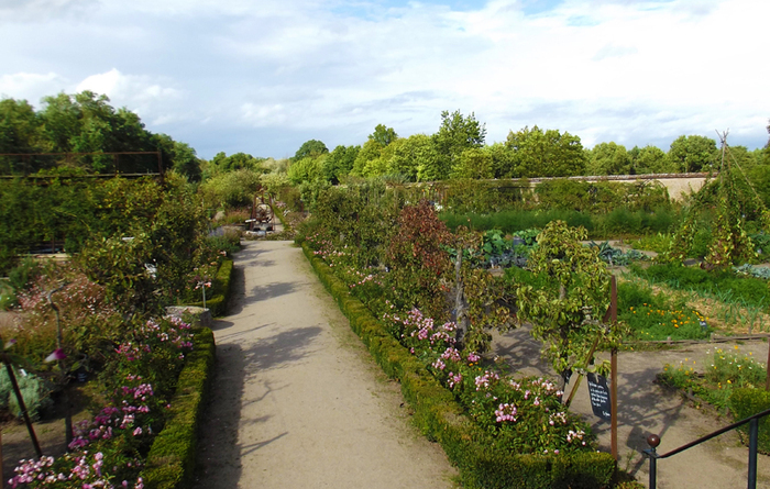 Rendez-vous au jardin au château de La Bussière, les 7 et 8 juin.