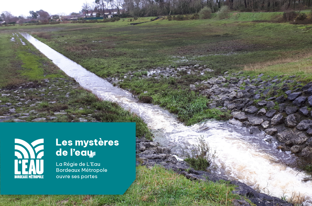 Participez à la randonnée « Le Bourgailh »